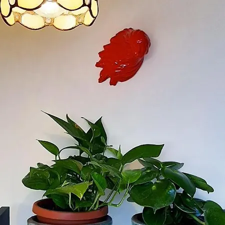 Ferienhaus Cielo Di Neapel
