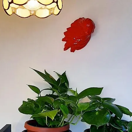 Ferienhaus Cielo Di *